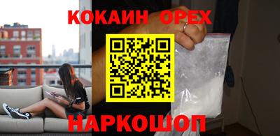 прущие грибы Камышлов