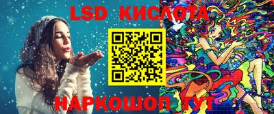 прущие грибы Камышлов