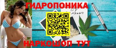 прущие грибы Камышлов