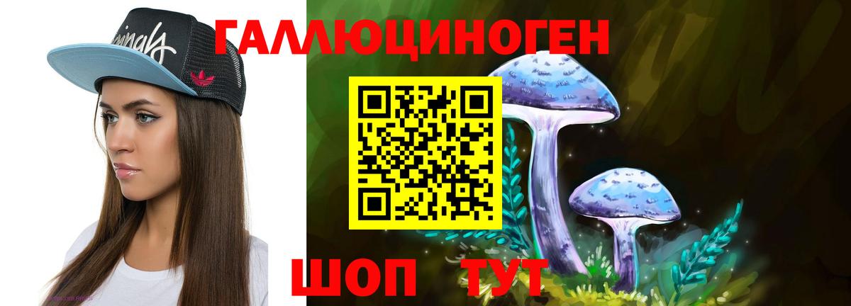 Галлюциногенные грибы MAGIC MUSHROOMS  Вход с VPN  Шахты 